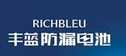 RICHBLEU/丰蓝品牌logo