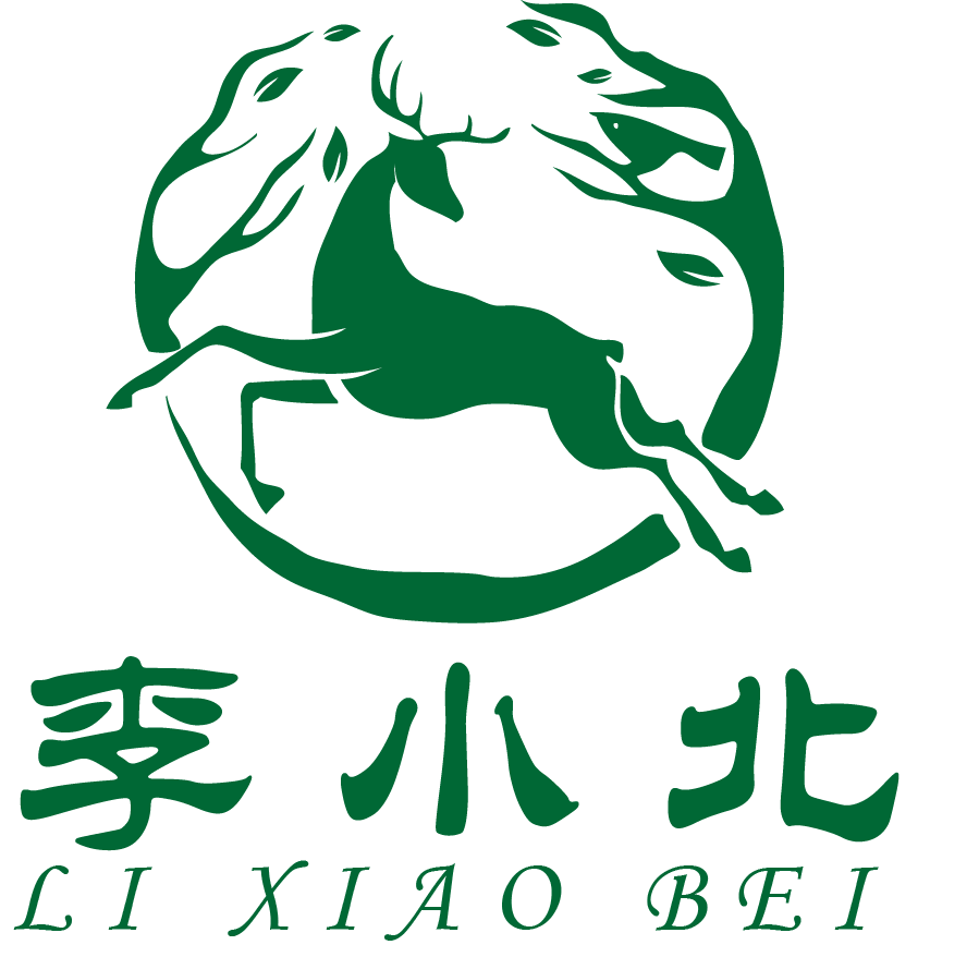 李小北品牌logo