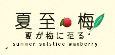 夏至梅品牌logo