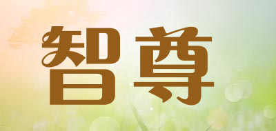 HYPERWIZ/智尊品牌logo