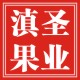 滇圣品牌logo