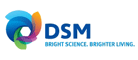 DSM/帝斯曼品牌logo