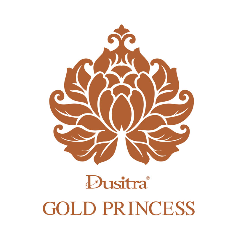 DUSITRA品牌logo