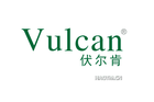 Vulcan/伏尔肯品牌logo