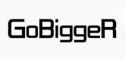 gobigger品牌logo
