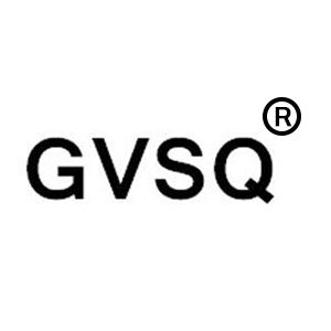 GVSQ品牌logo