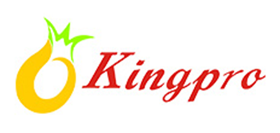 Kingpro/凤梨品牌logo