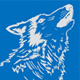 天和狼品牌logo