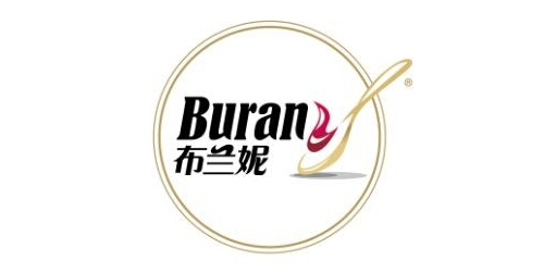BRITNRY/布兰妮品牌logo
