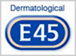 E45品牌logo