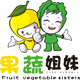 果蔬姐妹品牌logo