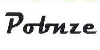 Pobnze/破冰者品牌logo