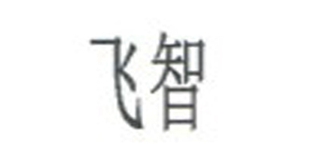 飞智品牌logo