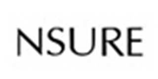 NSURE品牌logo
