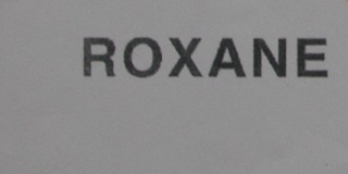 ROXANE/视睿品牌logo