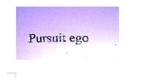 Pursuit Ego品牌logo