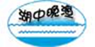 湖中晚渔品牌logo