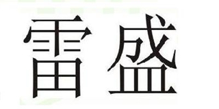 Rayson/雷盛品牌logo