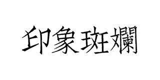 印象斑斓品牌logo