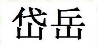 岱岳品牌logo
