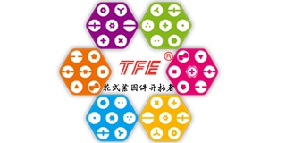 TFE品牌logo
