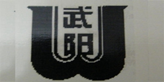 W/武阳品牌logo