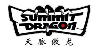 SUMMIT DRAGON/天脉傲龙品牌logo
