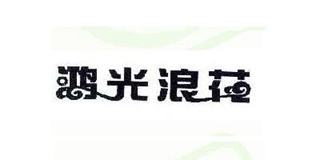 鸿光浪花品牌logo