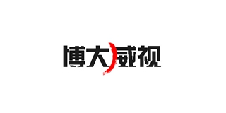 BODVSION/博大威视品牌logo