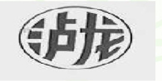 泸龙品牌logo