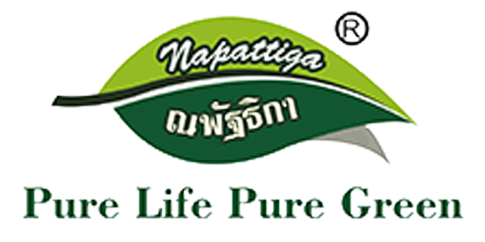 napattiga/娜帕蒂卡品牌logo