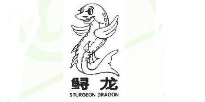 Sturgeon Dragon/鲟龙品牌logo