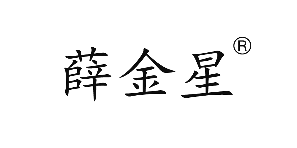 薛金星品牌logo
