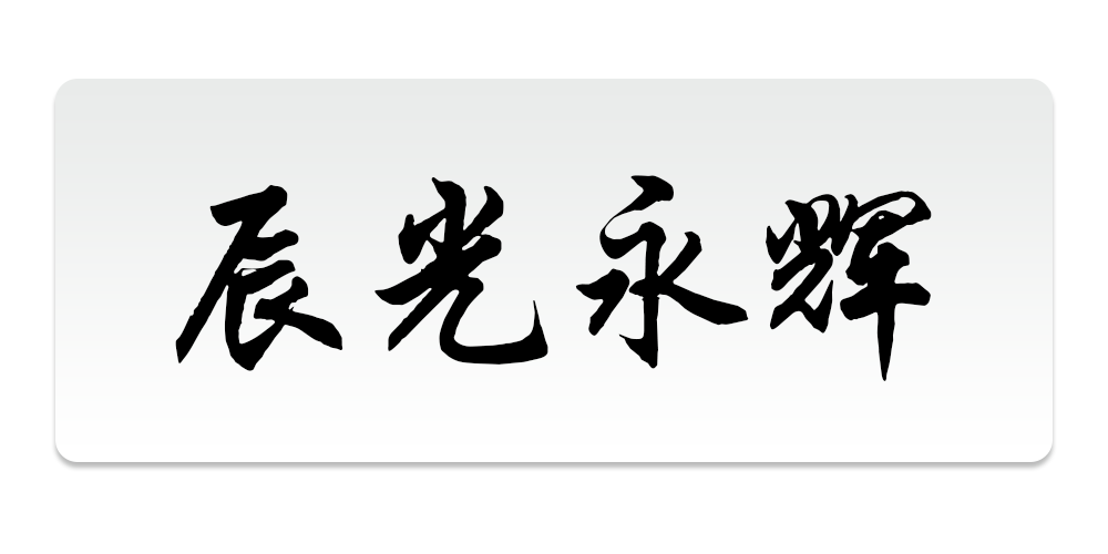 辰光永辉品牌logo