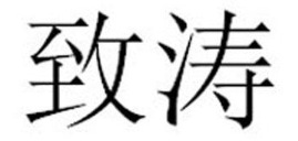 致涛品牌logo