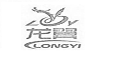 龙翼品牌logo