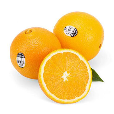 新奇士橙十大品牌排行榜