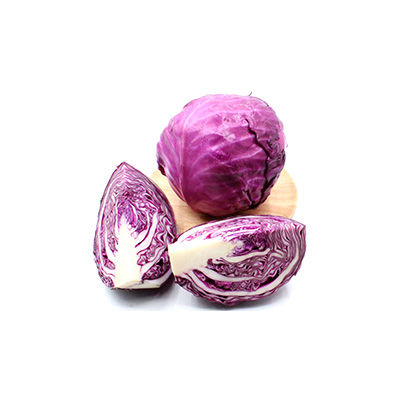 紫包菜十大牌子排行榜