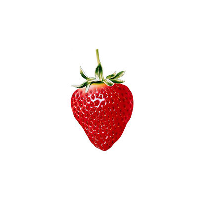 红草莓十大品牌排行榜