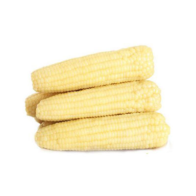 白玉米十大牌子排行榜