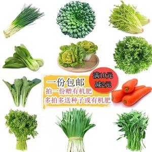 蔬菜种子十大牌子排行榜